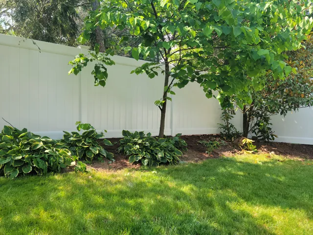 Off-white vinyl privacy fence behind a young tree and a bed of hostas on a green lawn