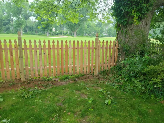 Pointed-top wood picket fence beside a large ivy-covered tree, with an open grassy field beyond