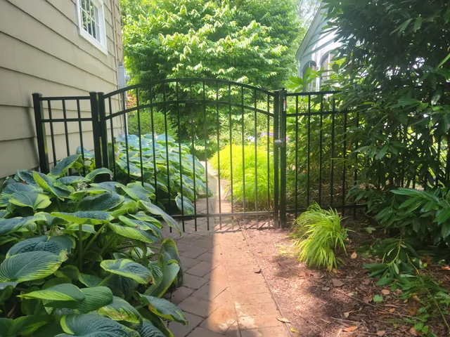 Black aluminum fence with an arched walk gate across a brick path lined with hostas beside a house